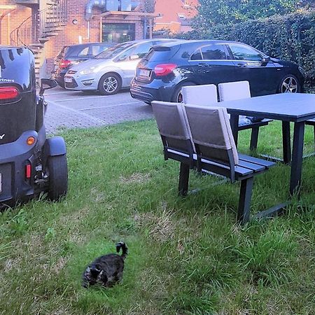 Logeerkamer Xxl 25 M2 Zemst Kültér fotó