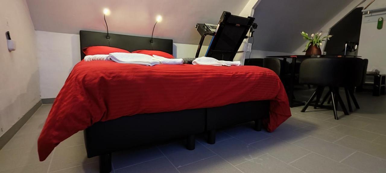 Logeerkamer Xxl 25 M2 Zemst Kültér fotó