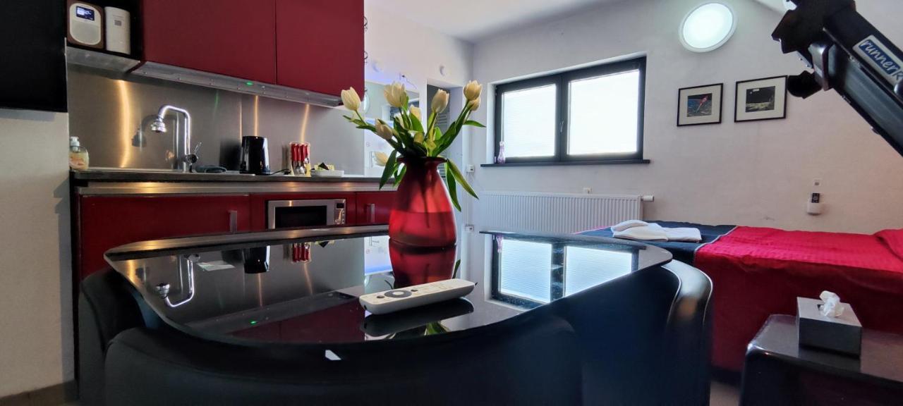 Logeerkamer Xxl 25 M2 Zemst Kültér fotó
