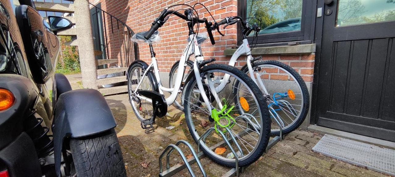 Logeerkamer Xxl 25 M2 Zemst Kültér fotó